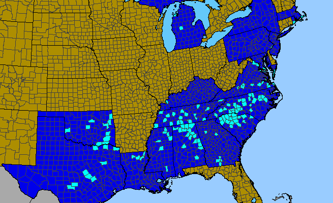 The range of Rubus bifrons